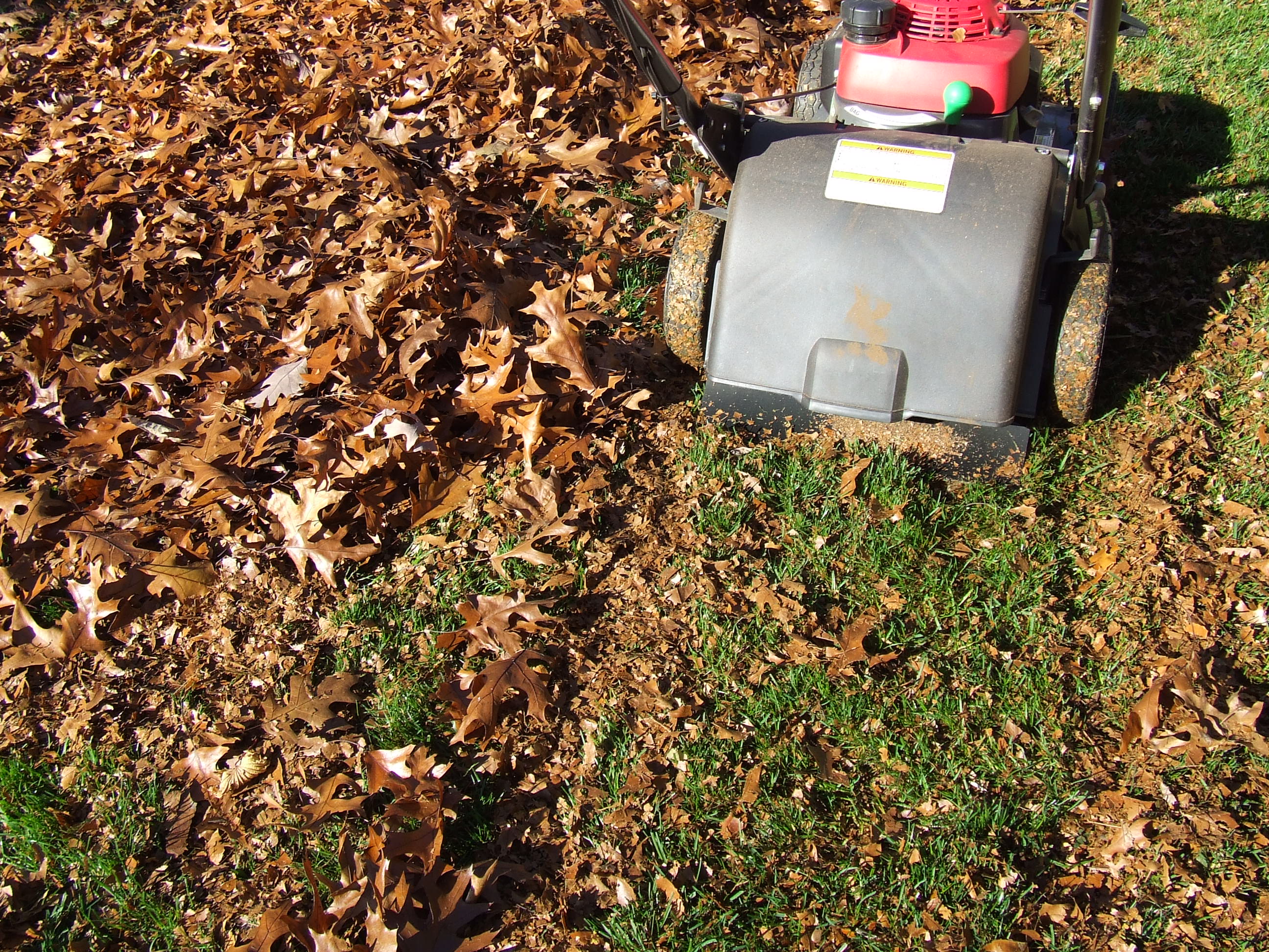 Mulched up leaves and a lawn mower.